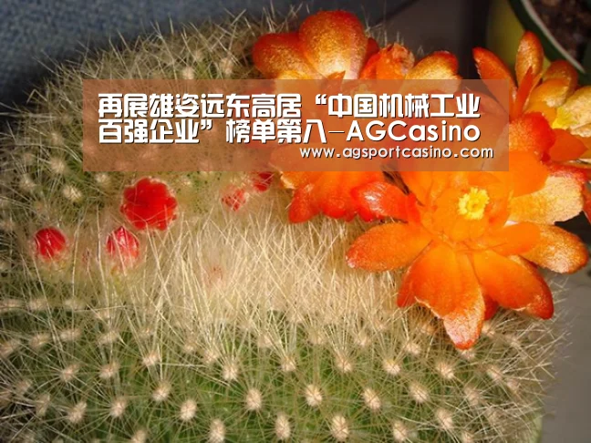 AG通道